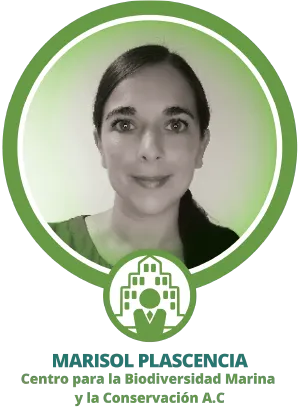 Advising committee member